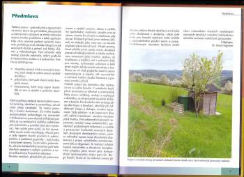 Klaus Hagmann: Pálíme ovoce