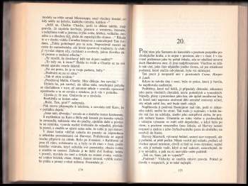 Danielle Steel: Palomino