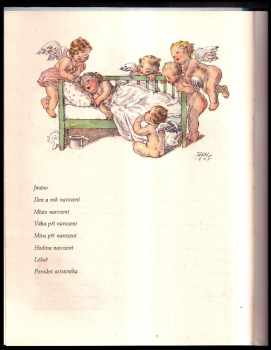 Marie Fischerová-Kvěchová: Památníček