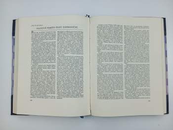 Rudolf Procházka: Památník IX. sletu všesokolského v Praze 1932