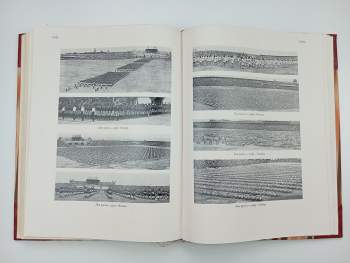 Památník osmého sletu všesokolského v Praze 1926