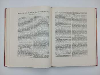 Památník osmého sletu všesokolského v Praze 1926