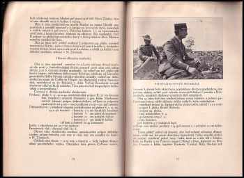 Pamätník padlých v bojoch o Nové Zámky na Slovensku v roku 1919