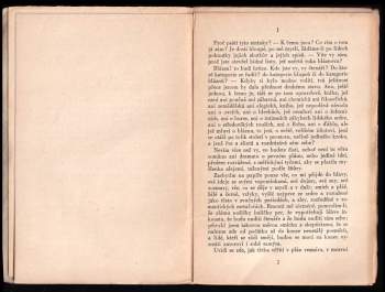 Gustave Flaubert: Paměti bláznovy