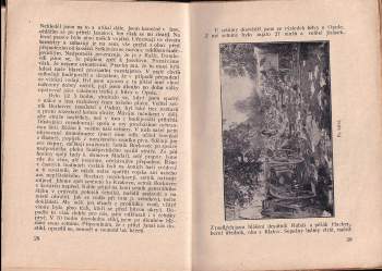 Josef Šefl: Paměti domobrance 28. pluku z války světové 1914-1918