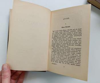 Alexandre Dumas: Dobytí Bastilly II. svazek