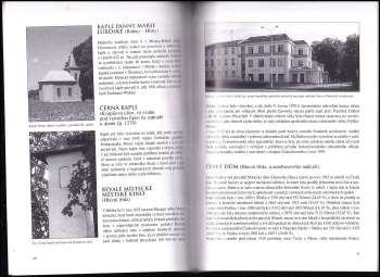 Petr Juřák: Pamětihodnosti města Frýdku-Místku