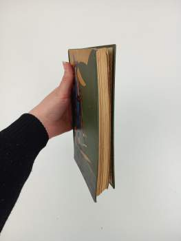 Karl May: Pampero - Román z cyklu Dobyvatelé Gran Chaca - díl 2.