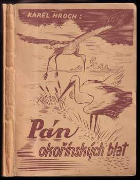 Pán okořínských blat