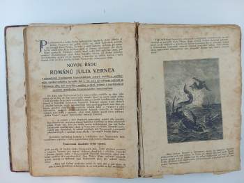 Jules Verne: Podivuhodné dobrodružství výpravy Barsacovy