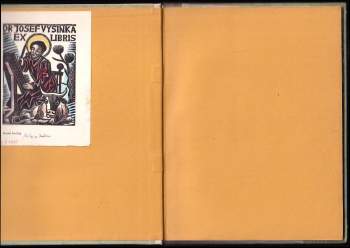 Božena Němcová: Pan učitel