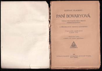 Gustave Flaubert: Paní Bovaryová