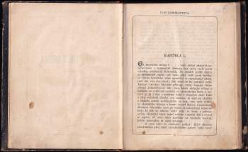 Gustav Pfleger Moravský: Paní fabrikantova