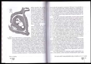 Tomáš Velímský: Páni ze Svojšína