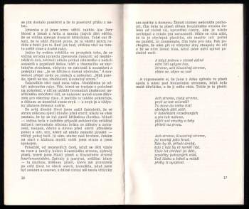 Mark Twain: Panna ve zbroji