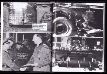 Heinz Pannwitz: Pannwitzova zpráva o atentátu na Heydricha