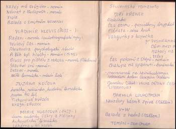 Jan Schneider: Panorama české literatury
