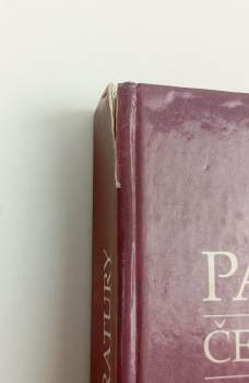 Jan Schneider: Panorama české literatury