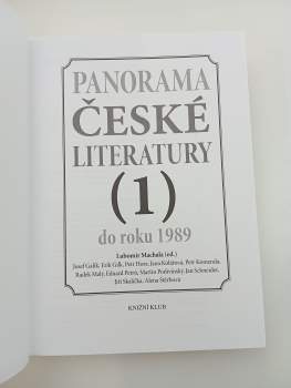 Radek Malý: Panorama české literatury