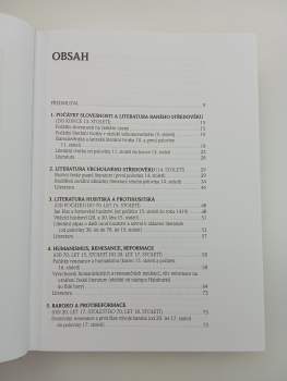 Radek Malý: Panorama české literatury