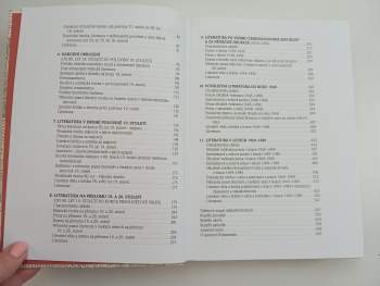 Radek Malý: Panorama české literatury