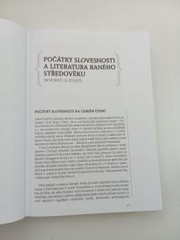 Radek Malý: Panorama české literatury
