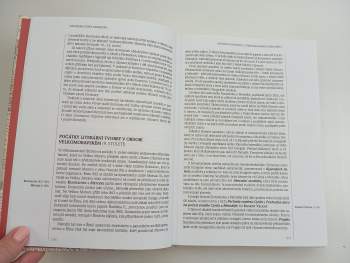 Radek Malý: Panorama české literatury