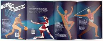 Justine de Lagausie: Panorama lidského těla