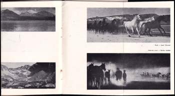 Ludvík Souček: Panoramatická fotografie