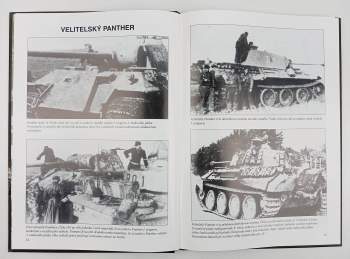 Horst Riebenstahl: Panther