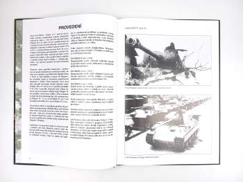 Horst Riebenstahl: Panther
