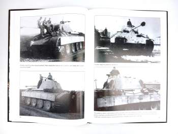 Horst Riebenstahl: Panther