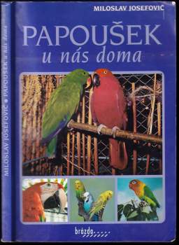 Papoušek u nás doma