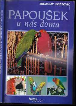 Papoušek u nás doma