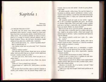 Dorothy Garlock: Paprsky štěstí