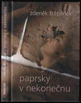 Zdeněk Štěpánek: Paprsky v nekonečnu