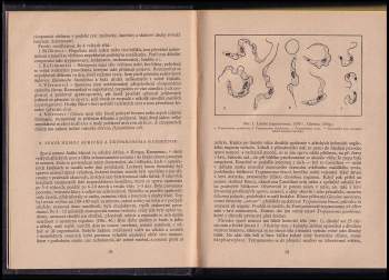 Otto Jírovec: Parasiti člověka