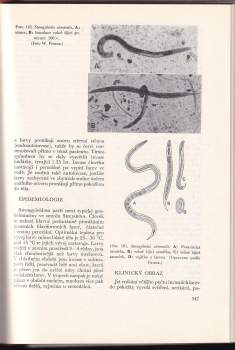 Otto Jírovec: Parasitologie pro lékaře