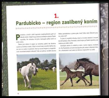 Dušan Korel: Pardubice