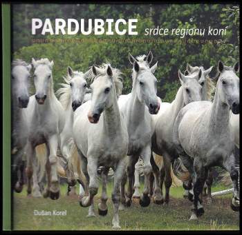 Dušan Korel: Pardubice