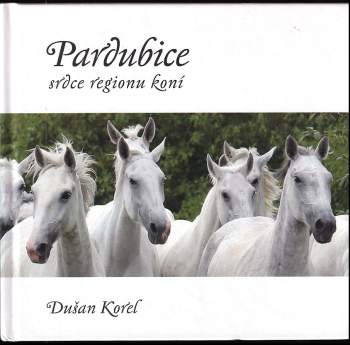 Dušan Korel: Pardubice