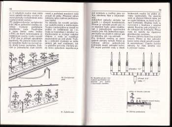 Armin Lutz: Pařeniště, fóliové kryty a skleníky