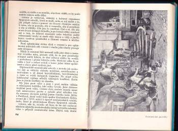 Adolf Hoffmeister: Paříž & okolí