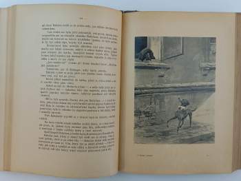 Alexandre Dumas: Pařížští Mohykáni II-  Salvator: Díl 1-2