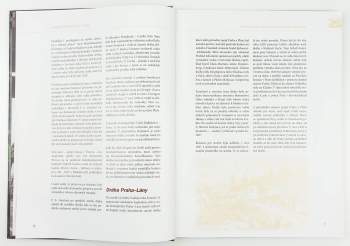 Hynek Palát: Parní lokomotivy ČSD