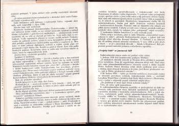 Roman Cílek: Partie hnědých pěšáků