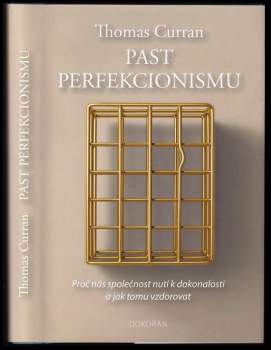 Past perfekcionismu