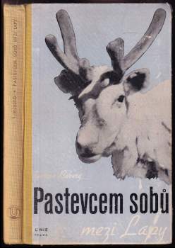 Pastevcem sobů mezi Lapy