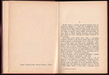 Helena Mniszkówna: Pastorkyně