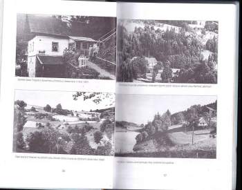 Emil Trojan: Pastviny